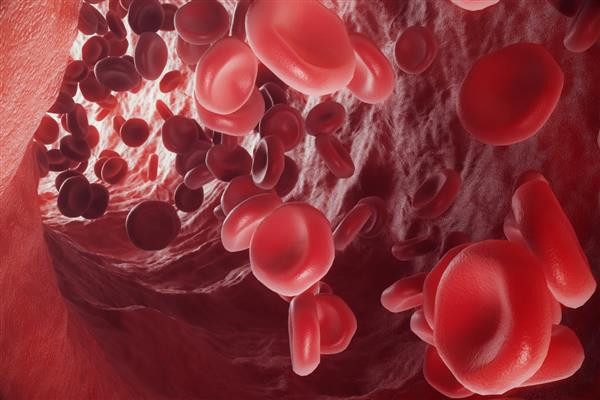 گلبول های قرمز خون در ورید یا شریان در داخل یک ارگانیسم زنده جریان دارند رندر سه بعدی