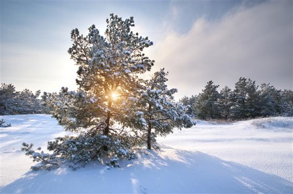 ترکیب مناظر زمستانی طبیعت