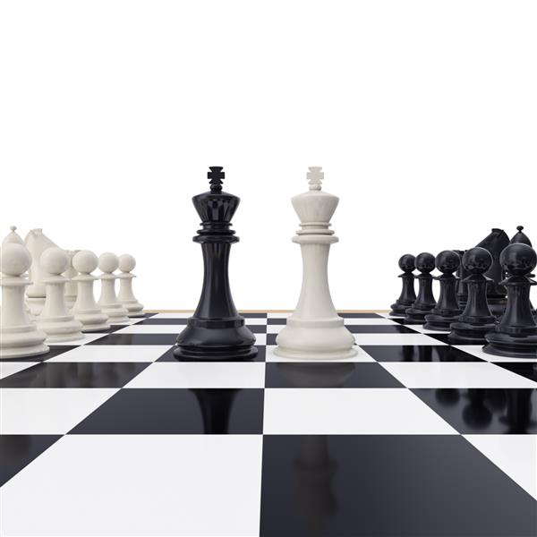 پادشاهان رو در رو روی صفحه شطرنج جدا شده روی سفید