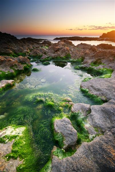 دریای آرام و سنگ های پوشیده از جلبک