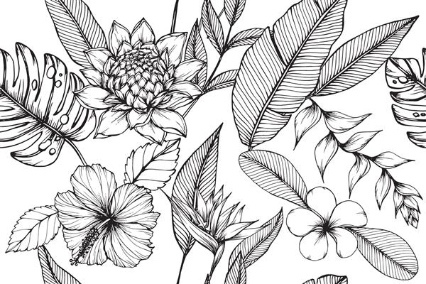 پس زمینه بدون درز الگوی هاوایی با برگ استوایی هلیکونیا هیبیسکوس تصویر طراحی گل پلومریا