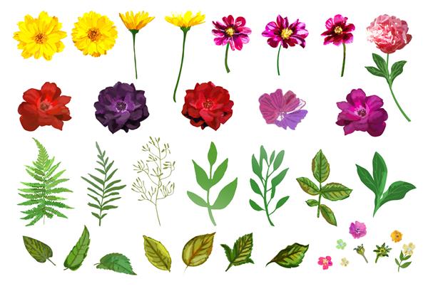 ست گل مجموعه ای با گل ها و برگ های باغچه و رنگارنگ جدا شده طراحی برای کارت های دعوت عروسی یا تبریک تصویر وکتور