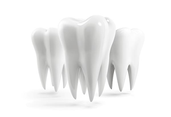 نماد واقعی وکتور دندان انسان قالب طراحی مجموعه آیکون جدا شده از دندان لوگوی سه بعدی دندان سالم با مینا و ریشه سفید دندانپزشکی مراقبت های بهداشتی دندان مطب دندانپزشکی تم های بهداشت دهان و دندان