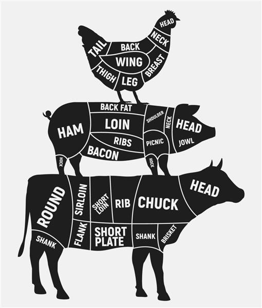 مجموعه تکه های گوشت پوستر قدیمی برای قصابی تکه های گوشت گاو گوشت خوک مرغ تصویر وکتور