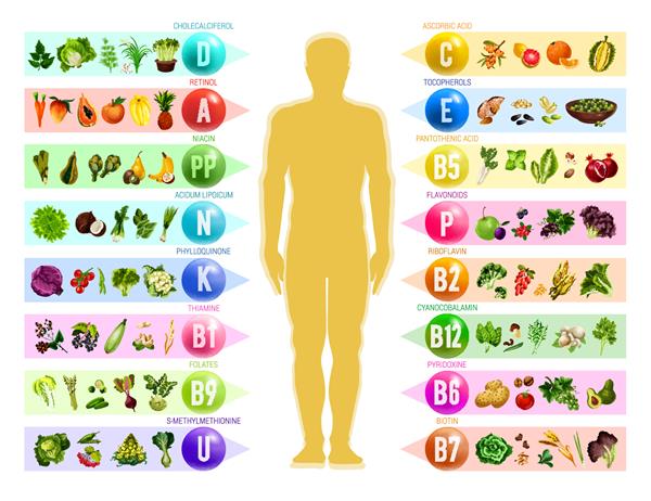ویتامین و مواد معدنی موجود در غذا شبح انسان با نمودار سبزیجات میوه و آجیل غلات و توت سازماندهی شده بر اساس محتوای ویتامین تغذیه سالم و مکمل رژیم غذایی طبیعی