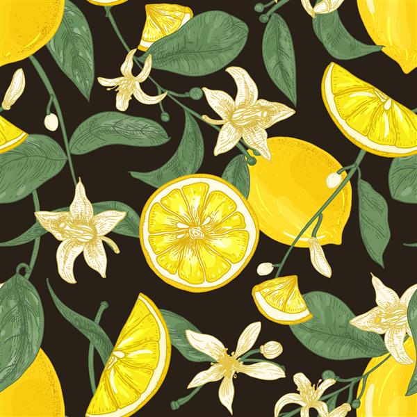 الگوی بدون درز گیاه شناسی با لیمو کامل و قطعه قطعه شده شاخه هایی با گل و برگ در زمینه سیاه پس زمینه با مرکبات تصویر وکتور زیبا برای چاپ پارچه