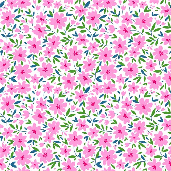 وکتور الگوی بدون درز الگوی زیبا در گل کوچک گل های صورتی کوچک پس زمینه سفید پس زمینه گل دیتسی