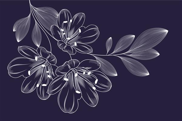 طرح گل با دست طراحی شده با گل زنبق تصویر وکتور عنصر برای طراحی