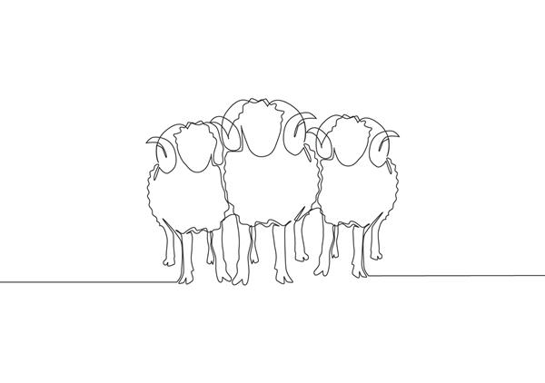 رسم یک خط پیوسته از سه گوسفند در ردیف عید مسلمانان قربانی یک حیوان برای خدا کارت تبریک عید قربان مفهوم طرح یک خط طراحی