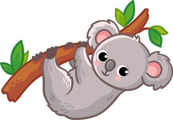 کوالا روی یک درخت در زمینه سفید آویزان است حیوان ناز استرالیایی به سبک کارتونی تصویر وکتور