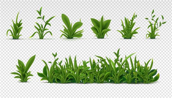 چمن سبز واقع گرایانه گیاهان سه بعدی تازه بهاری گیاهان و بوته های مختلف برای پوستر و تبلیغات مجموعه وکتور اشیاء جدا شده روی سفید