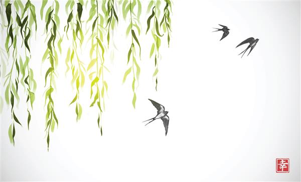 پرنده های پرنده پرنده و شاخه های بید سبز در زمینه سفید نقاشی سنتی ژاپنی با جوهر شستشوی sumi-e هیروگلیف - شادی