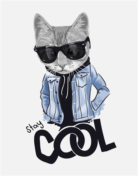 شعار اقامت سرد با گربه در عینک آفتابی و تصویر ژاکت جین