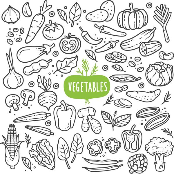 مجموعه طراحی ابله سبزیجات سبزیجات مانند هویج ذرت زنجبیل قارچ خیار کلم سیب زمینی و غیره