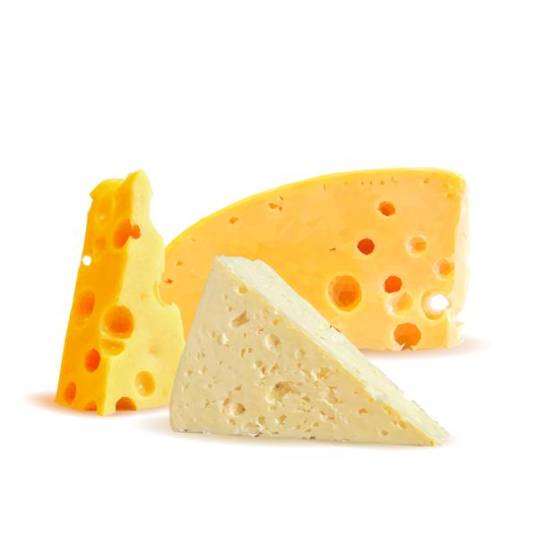 پنیر کم پلی پنیر بری تازه مغذی و خوش طعم تصویر وکتور پنیر در تکنیک مثلث بندی