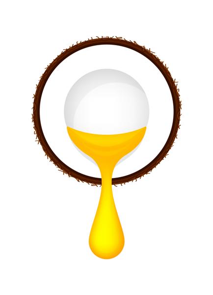 نارگیل نیمه برش و قطره روغن طلای زرد جدا شده روی سفید روغن نارگیل برای پخت نماد نارگیل قهوه ای و ریختن روغن روغن نارگیل با جریان قطره روغن برای مواد آرایشی وکتور