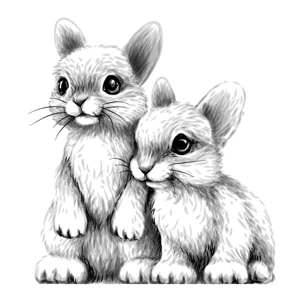خرگوش های کوچولو برچسب دیواری طرحی هنری پرتره طراحی شده از دو خرگوش کوچک زیبا در زمینه سفید