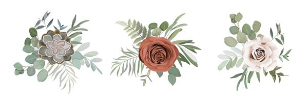 ست گل با گل رز کاکتوس سبزه گیاهان و شاخه های اکالوپتیس برای دسته گل عروسی کارت طرح تصویر وکتور