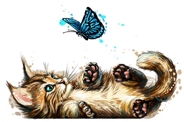 گربه یک بچه گربه در حال بازی با یک پروانه است برچسب دیواری با تصویر یک بچه گربه مین کون چشم آبی در حال شکار پروانه به سبک آبرنگ