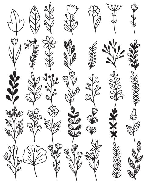 مجموعه جنگلی سرخس اکالیپتوس هنر شاخ و برگ طبیعی برگ گیاهان به سبک خط تصویر زیبایی تزئینی زیبا برای طراحی گل طراحی شده با دست