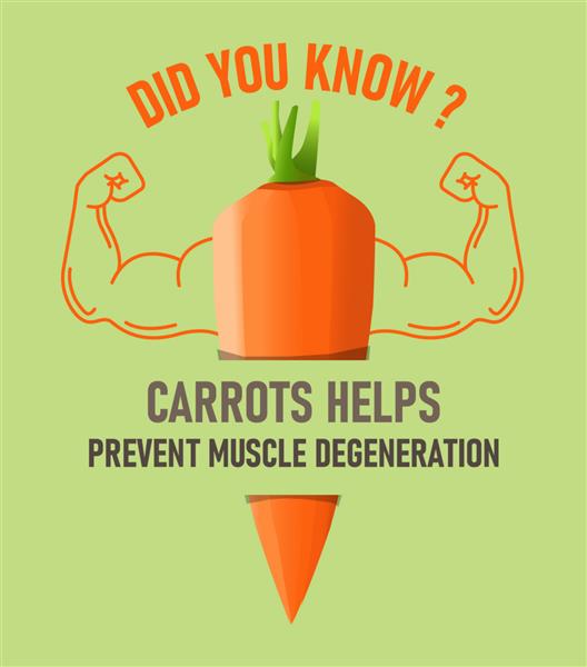 آیا می دانید هویج به جلوگیری از تحلیل رفتن عضلات کمک می کند پوستر حقایق هویج پوستر کافه تریا DYK