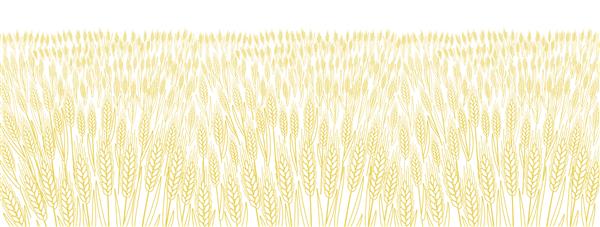 مزرعه غلات برگ و بلال لفاف گندم کاه کشاورزی پس زمینه بنر افقی علفزار زرد خشک خط وکتور کانتور نارنجی لفاف نان