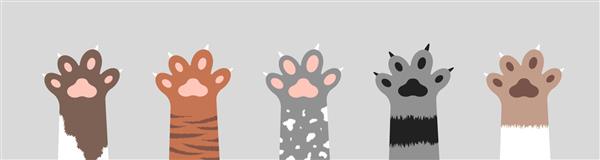 مجموعه پنجه های گربه کرکی مجموعه ای از شبح های مختلف پای بچه گربه زیبا جدا شده در پس زمینه سفید مفهوم حیوانات و حیوانات خانگی تصویر وکتور به سبک کارتونی