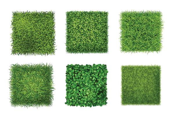 بافت پس‌زمینه گیاهان پوشش زمینی 6 نماد مربع واقعی با تصویر وکتور برگ‌های شبدر چمن سبز