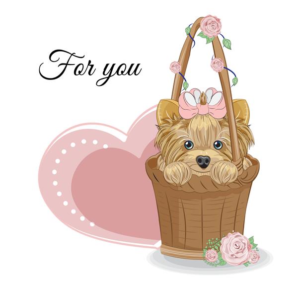 سگ ناز یورکشایر تریر توله سگ روی سبد با گل رز کارت روز ولنتاین تصویر در دست طراحی کارتونی برای کارت تبریک کارت پستال