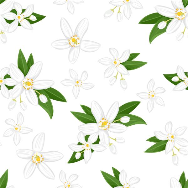 الگوی بدون درز با گل های نارنجی نرولی شکوفه پس زمینه گل تصویر وکتور گیاه معطر برگ سبز و جوانه به سبک کارتونی تخت