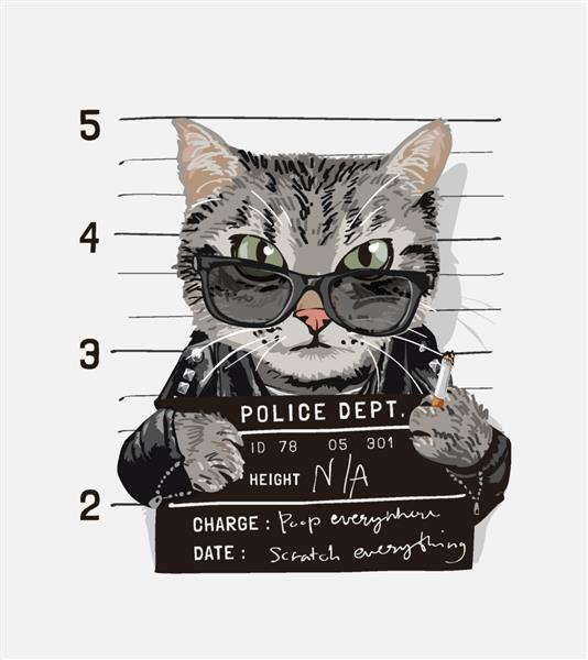 گربه پسر بد با عینک آفتابی که تصویر علامت ماگ شات را در دست دارد