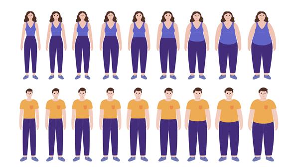 مفهوم شاخص توده بدنی سیلوئت های زن و مرد با تناسب طبیعی چاق و باریک BMI از افراد دارای اضافه وزن تا افراد کم وزن متغیر است افراد بالغ با وزن های مختلف تصویر وکتور سطح چربی