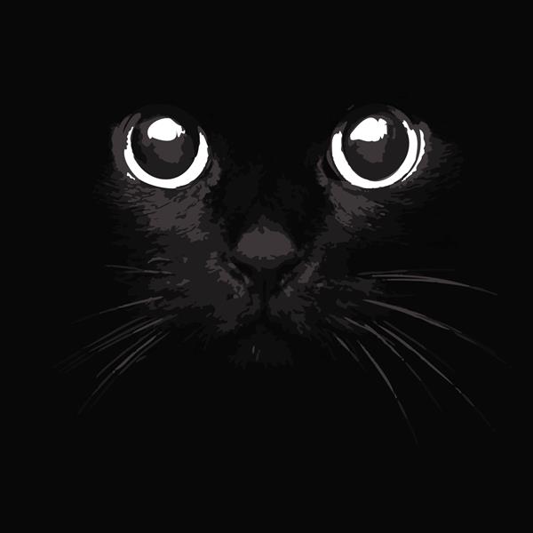 گربه سیاه و سفید kucing می تواند از آن برای طراحی خالکوبی چاپ تی شرت یا هر چیزی که می خواهید استفاده کنید