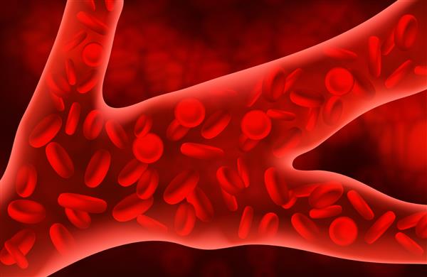 گلبول های قرمز خون در داخل شریان جریان دارند مفهوم پزشکی وکتور