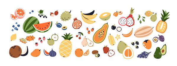 مجموعه ای از میوه ها و انواع توت ها مجموعه ای از ویتامین های ارگانیک و تغذیه سالم هندوانه آناناس موز و آووکادو تصویر وکتور تخت رنگی جدا شده در پس زمینه سفید