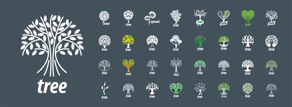 مجموعه ای از لوگوهای وکتور با تصویر یک درخت