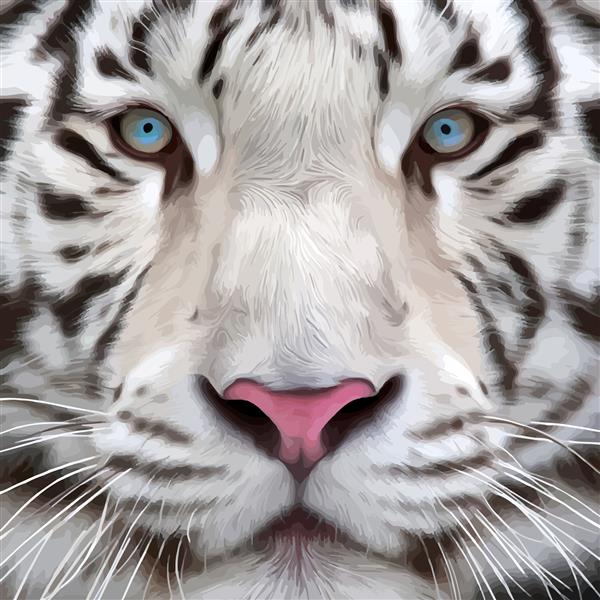 پرتره نزدیک رنگارنگ ببر سفید بنگال سبک رنگ روغن بزرگترین گربه زیبایی وحشی خطرناک ترین و قدرتمندترین جانور تصویر وکتور