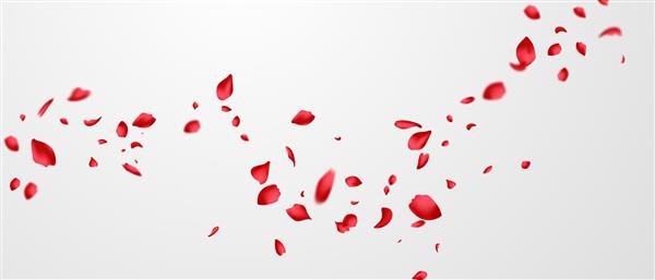 گلبرگ های رز قرمز روی پس زمینه گل انتزاعی با طرح کارت تبریک گلبرگ گل رز زیبا می افتند