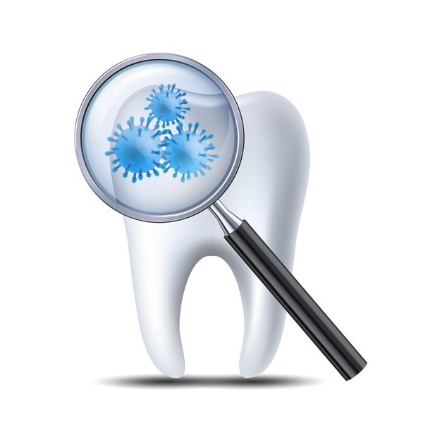 آیکون بررسی دندان در دندانپزشک دندانی با ذره بین که باکتری ها یا ویروس های میکروسکوپی را نشان می دهد مفهوم دندانپزشکی پزشکی و سلامت تصویر وکتور جدا شده در پس زمینه سفید