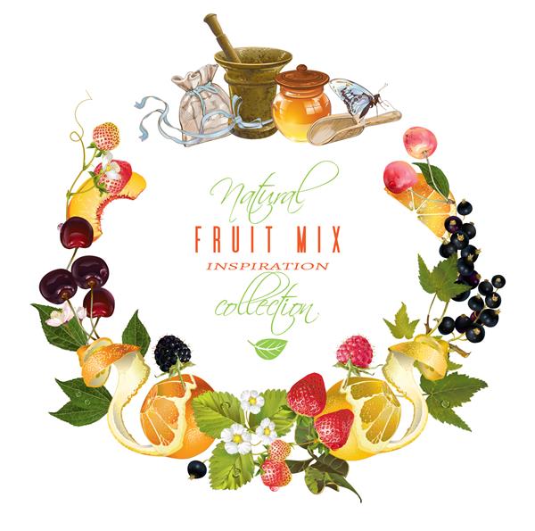 وکتور بنر آرایشی میوه و توت وینتیج با عسل و هاون طراحی برای چای گیاهی و میوه ای لوازم آرایشی طبیعی آب نبات مواد غذایی و محصولات بهداشتی قابل استفاده به عنوان طراحی لوگو
