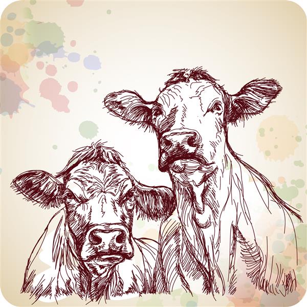 دو گاو با دست طرح و پس زمینه رنگ آمیزی می کشند