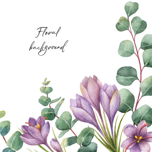 کارت گل سبز رنگ آمیزی شده با آبرنگ با اکالیپتوس و گل های زعفران جدا شده در زمینه سفید گیاهان شفا برای کارت دعوت عروسی پوستر ذخیره تاریخ یا طرح تبریک