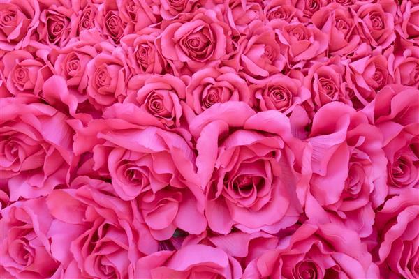 دسته گل ساخته شده از گل رز قرمز در فروشگاه گل ولنتاین پس زمینه