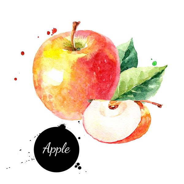 آبرنگ با دست کشیده شده سیب زرد و قرمز تصویر میوه های غذای طبیعی با محیط زیست جدا شده در پس زمینه سفید