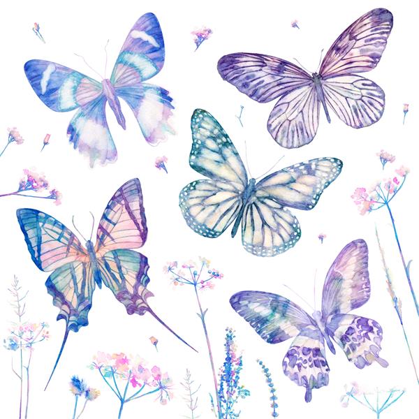 پروانه های آبرنگ جدا شده در پس زمینه سفید ست بزرگ روشن تصویر رنگارنگ انتزاعی