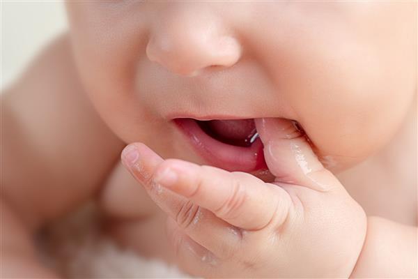 دندان درآوردن نوزاد بامزه و بامزه کوچک با دست ها و انگشتان در دهان درد لثه را تسکین می دهد