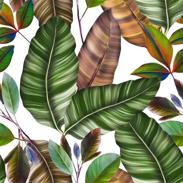 الگوی بدون درز آبرنگ با برگ های استوایی نخل هیولا میوه شور چاپ روی سرتاسر زیبا با گیاهان عجیب و غریب طراحی شده با دست طراحی گیاه شناسی لباس شنا