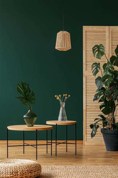 لامپ بالای میزها با گیاهان در فضای داخلی اتاق نشیمن طبیعی سبز با پوف روی فرش عکس واقعی
