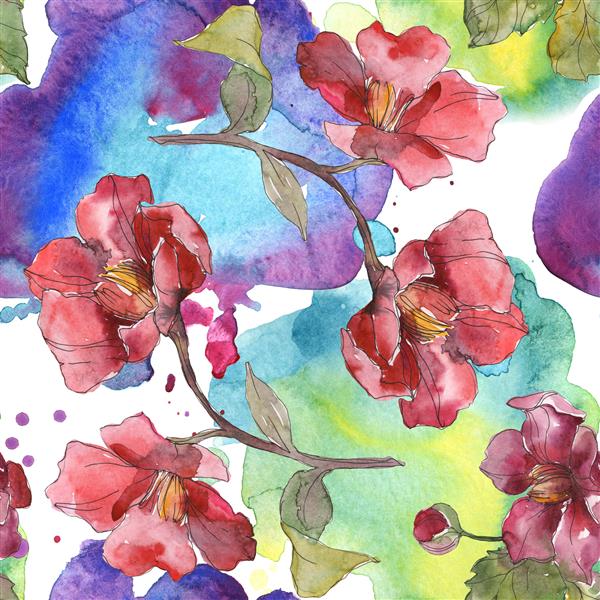 گل گیاه شناسی گل کاملیا قرمز برگ وحشی بهار جدا شده است مجموعه تصویرسازی آبرنگ آکواریل مد طراحی آبرنگ الگوی پس زمینه بدون درز بافت چاپ کاغذ دیواری پارچه ای