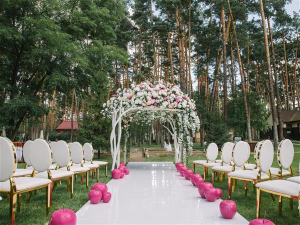 مراسم عروسی با صندلی های سفید و قاب طلایی پیاده رو سفید و سیب های رنگارنگ صورتی و طاق تشریفاتی از گل رز گل صد تومانی و هیدرانسی در جنگلی سرسبز با چمنزار